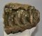 Mammuthus meridionalis részleges fog (2557 gramm) ELFOGYOTT (R) 05