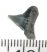 Carcharhinus priscus shark tooth (10 mm)