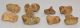 8 pc Ursus spelaeus partial foot bone