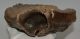 Mammuthus primigenius fog (1379 gramm) ELFOGYOTT (M) 06