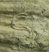 Serpula Spirorbidae Bryozoa maradványos Pecten kagylókövület ELFOGYOTT (EO) 08