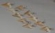 10 Otodus obliquus shark tooth pendants