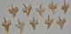 10 Otodus obliquus shark tooth pendants