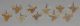 10 Otodus obliquus shark tooth pendants
