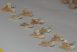 10 Otodus obliquus shark tooth pendants