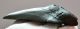 Otodus megalodon részleges óriás cápa fog (93 mm) Carcharodon megalodon