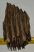 Mammuthus primigenius részleges fog  (647 gramm) ELFOGYOTT (BA) 11