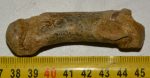    Ursus spelaeus partial metapodial finger bone ( 76 mm) Cave Bear