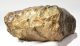 Mammuthus meridionalis tooth (2225 grams) Southern mammoth SOLD (A) 08