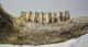 Bison priscus partial jaw (383 mm) SOLD (GG) 03