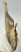 Bison priscus partial jaw (383 mm) SOLD (GG) 03