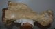 Woolly rhinoceros partial humerus bone (413 mm) Woolly rhinoceros partial humerus bone (413 mm)