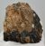 Mammuthus meridionalis részleges fog (504 gramm)
