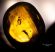 2 Diptera in Dominican amber