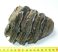 Mammuthus meridionalis részleges fog (1218 gramm)