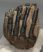 Mammuthus meridionalis partial tooth (1089 grams)