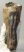 Mammuthus primigenius tooth (2611 grams) Woolly Mammoth