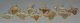 10 Otodus obliquus shark tooth pendants