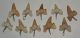 10 Otodus obliquus shark tooth pendants