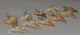 10 Otodus obliquus shark tooth pendants