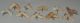 10 Otodus obliquus shark tooth pendants