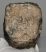Mammuthus meridionalis részleges fog  (1412 gramm) ELFOGYOTT (M) 06
