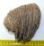 Mammuthus primigenius partial tooth (736 grams)