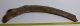Mammuthus primigenius részleges borda csont (70 cm)