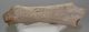 Megaloceros giganteus partial antler (252 mm) SOLD (R) 06