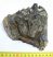 Mammuthus meridionalis tooth (872 grams) Southern mammoth molar