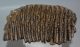 Mammuthus primigenius tooth (2713 grams) Woolly Mammoth