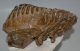 Mammuthus primigenius tooth (2713 grams) Woolly Mammoth