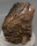Mammuthus primigenius tooth (2713 grams) Woolly Mammoth