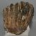 Mammuthus meridionalis részleges fog (1567 gramm)