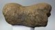 Mammuthus sp. részleges felkar csont (4553 gramm)