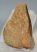  Pleisosaurus mauritanicus ( Zarafasaura oceanis ) tooth in rock (47 grams)