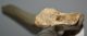 Mammuthus primigenius részleges borda csont (614 mm) ELFOGYOTT (A) 05