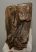 Mammuthus primigenius tooth (3490 grams) Woolly Mammoth