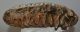 Mammuthus primigenius tooth (3490 grams) Woolly Mammoth
