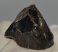 Stephanorhinus etruscus upper tooth 