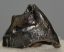 Stephanorhinus etruscus upper tooth 