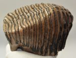 Mammuthus primigenius fog (1420 gramm) Gyapjas mamut