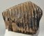 Mammuthus primigenius fog (1420 gramm) Gyapjas mamut