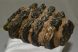 Mammuthus meridionalis részleges fog (901 gramm)