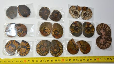 10 pairs of hematite ammonites from Morocco SOLD (JA) 08