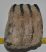 Mammuthus meridionalis partial tooth (1519 grams)