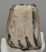 Mammuthus meridionalis partial tooth (1519 grams)