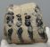 Mammuthus meridionalis partial tooth (1519 grams)