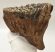 Mammuthus primigenius fog (1071 gramm)