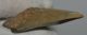 Carcharoles megalodon Shark tooth (82 mm) Otodus megalodon